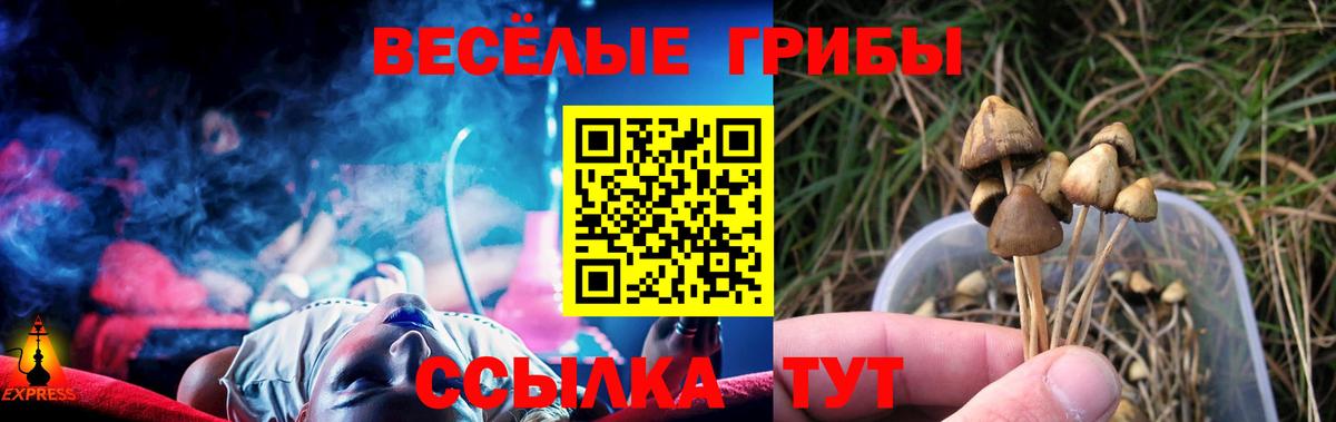 Псилоцибиновые грибы прущие грибы  Псилоцибиновые грибы Magic Shrooms  Туймазы  Вход с VPN 